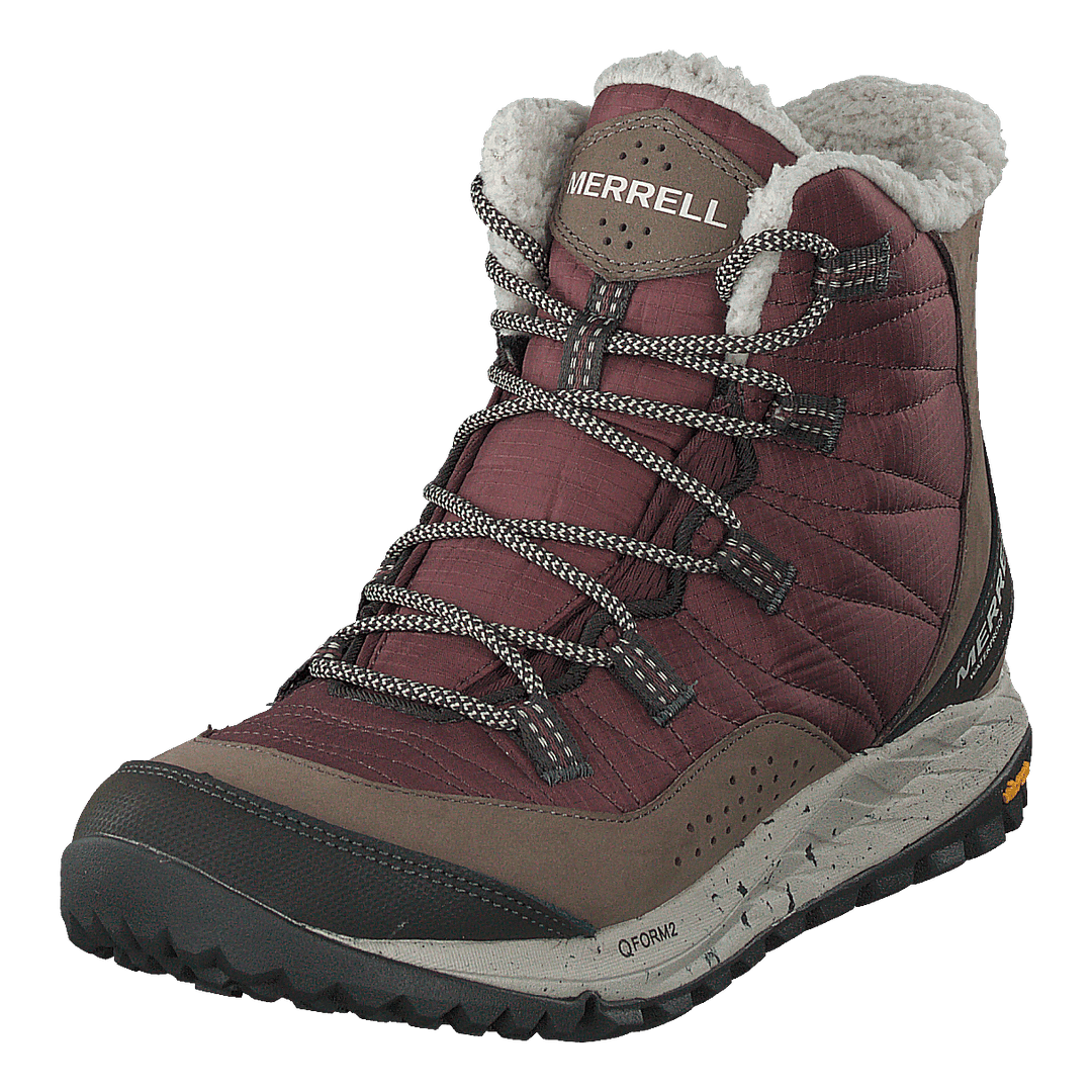 Antora Snekar Boot Marron