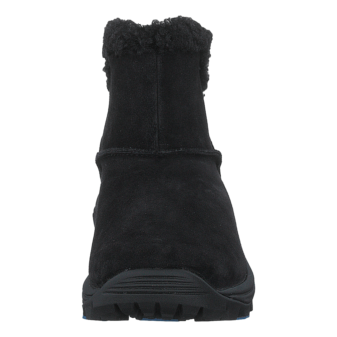 Icepack 2 Bluff Polar Wtpf Black