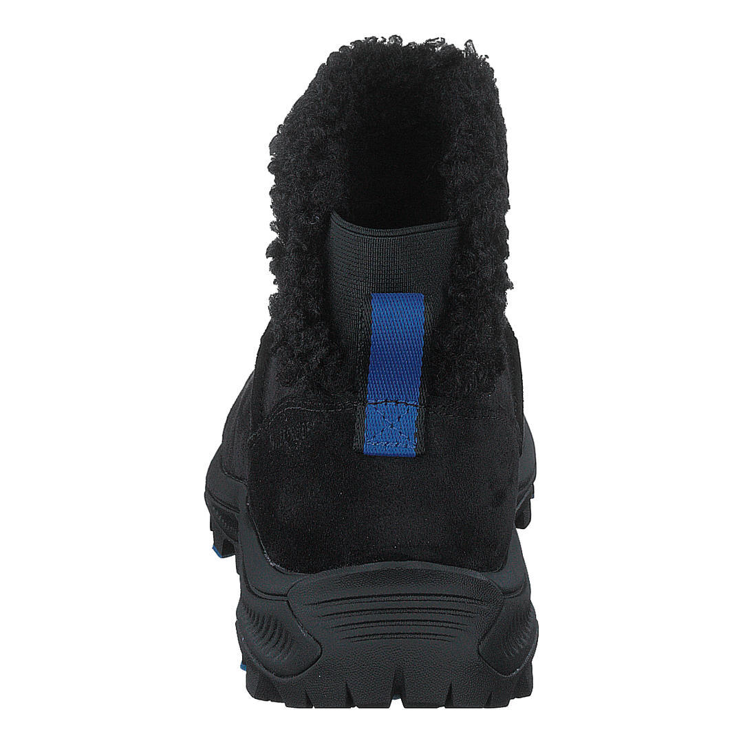 Icepack 2 Bluff Polar Wtpf Black
