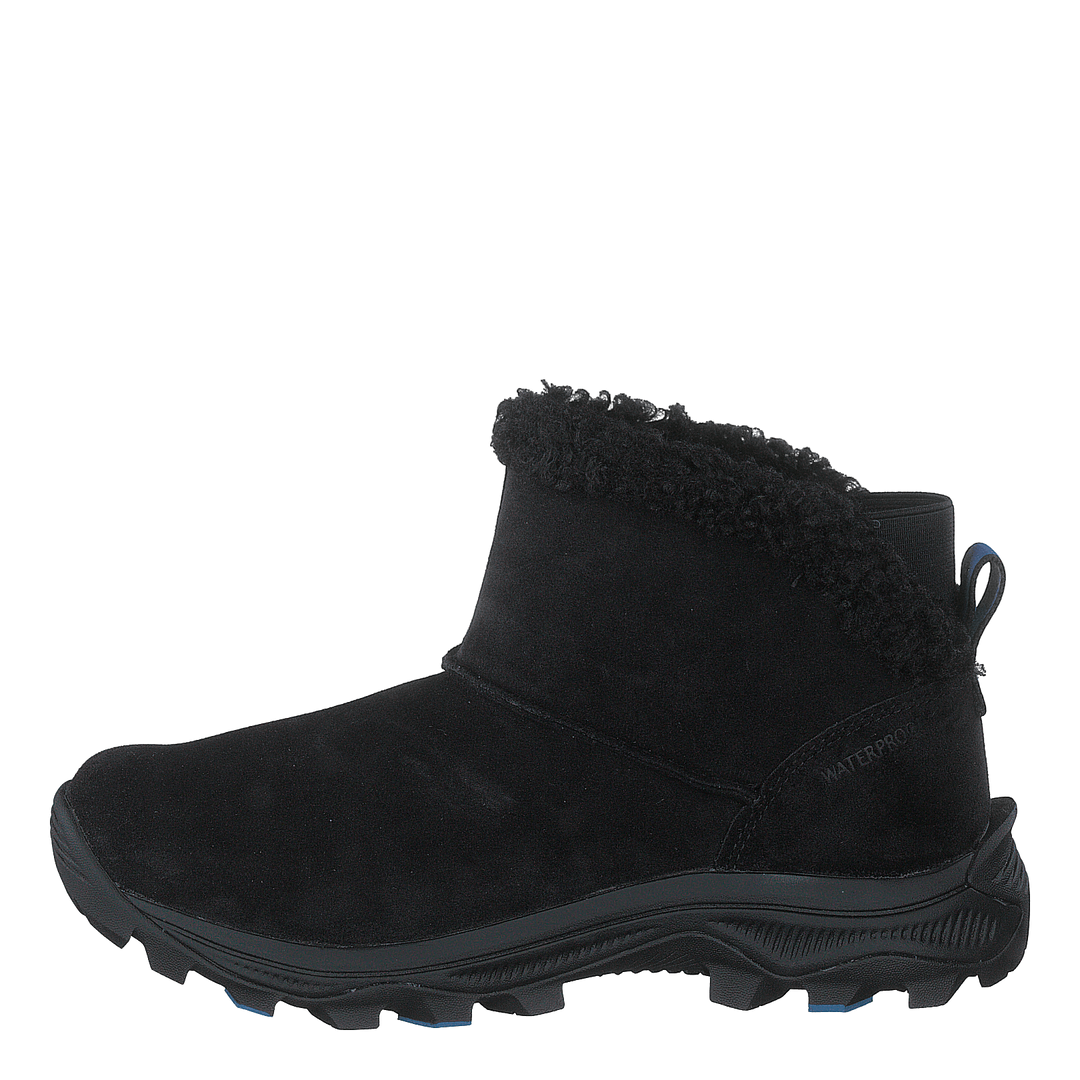 Icepack 2 Bluff Polar Wtpf Black