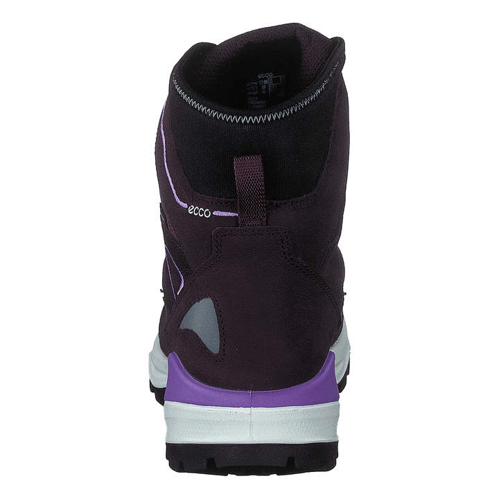 Ecco Snow Mountain Black/fig/fig