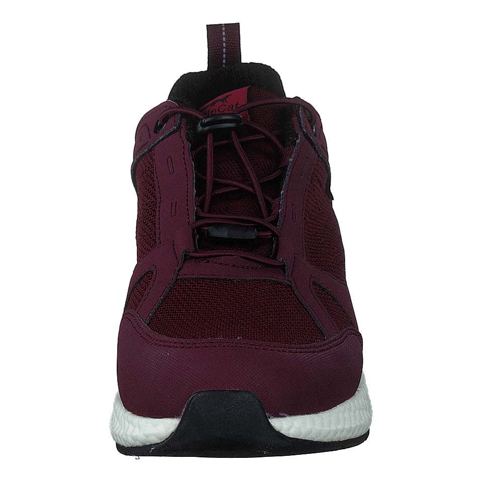 Orbit Smooth Gtx Bordo