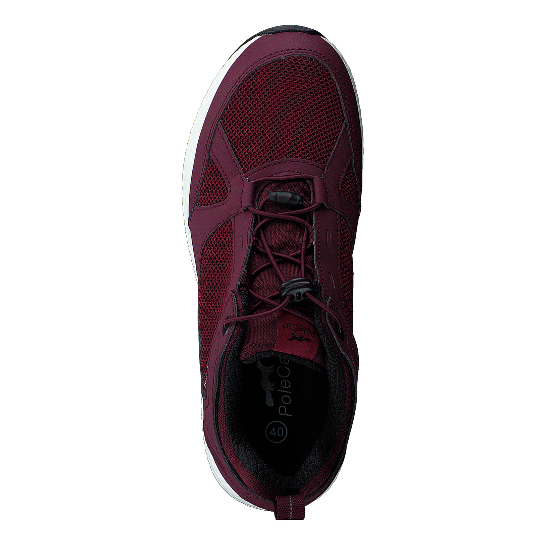 Orbit Smooth Gtx Bordo
