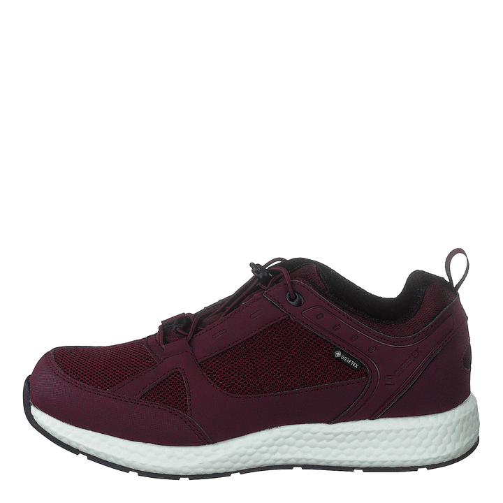 Orbit Smooth Gtx Bordo