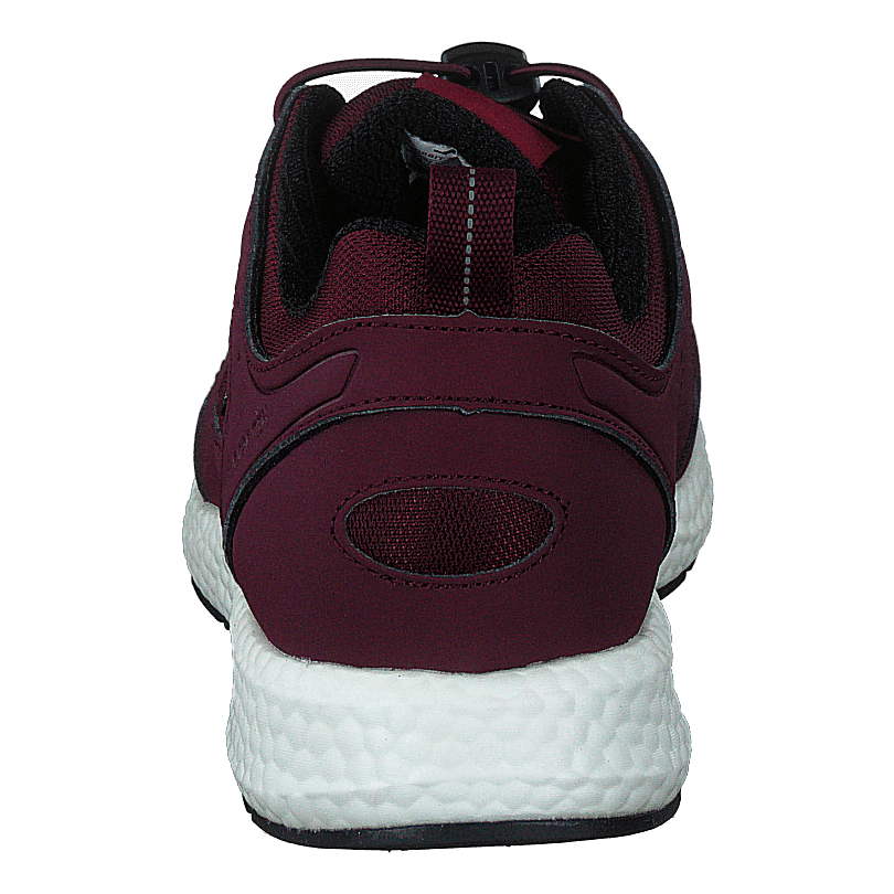 Orbit Smooth Gtx Bordo