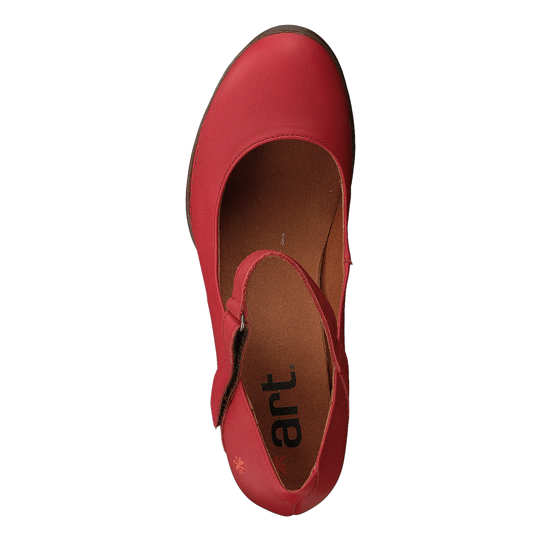 Harlem Coral