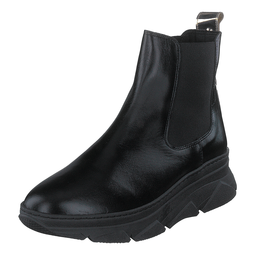 Quingo Negro Oasis Negro + Gold
