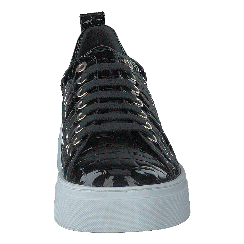 Coacig Blanco Boston Zafiro Negro