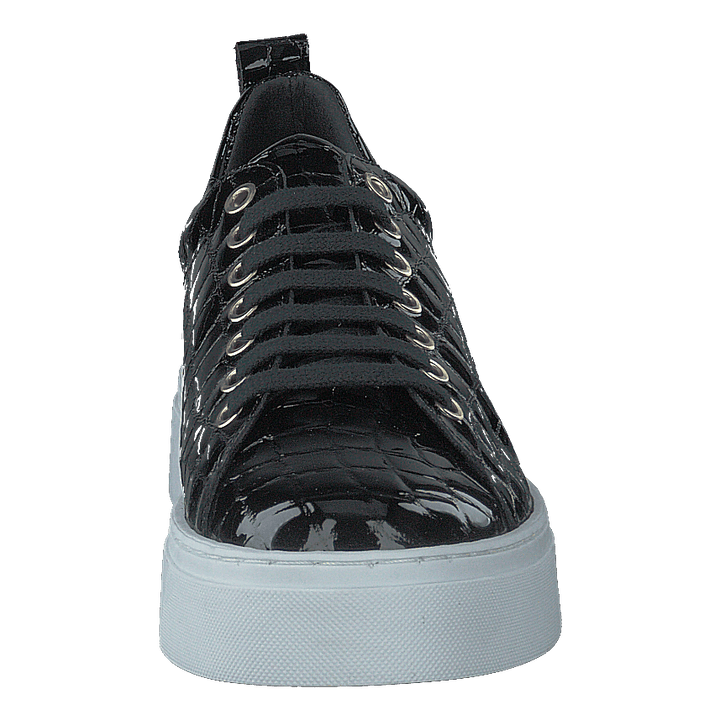 Coacig Blanco Boston Zafiro Negro