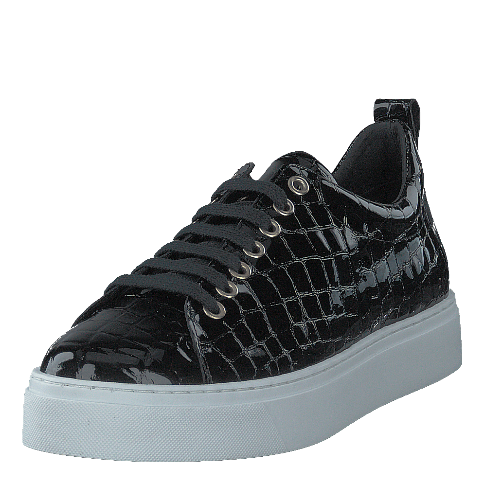 Coacig Blanco Boston Zafiro Negro