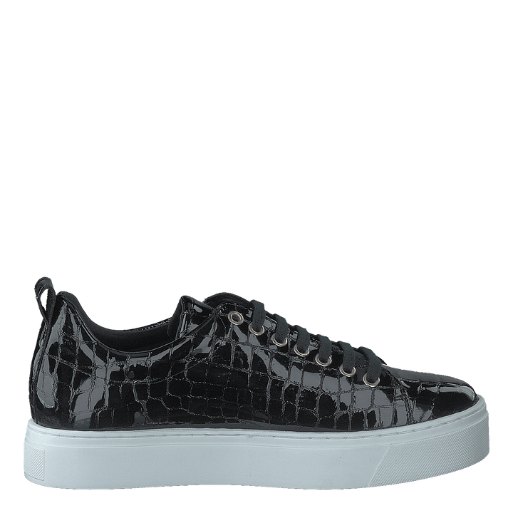 Coacig Blanco Boston Zafiro Negro