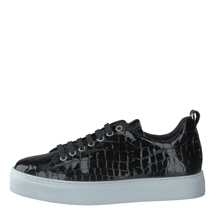 Coacig Blanco Boston Zafiro Negro