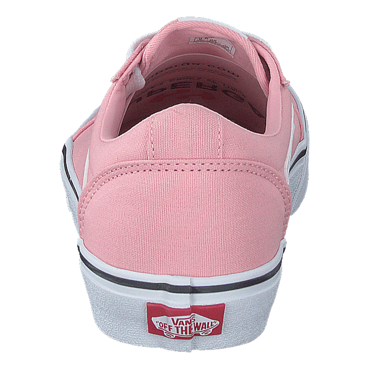 Wm Ward (canvas) Powder Pink/white