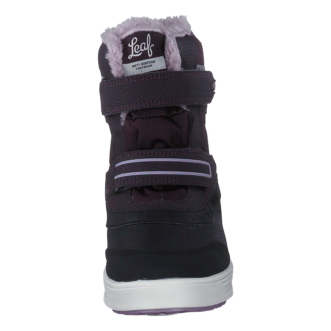 Lokka Lilac