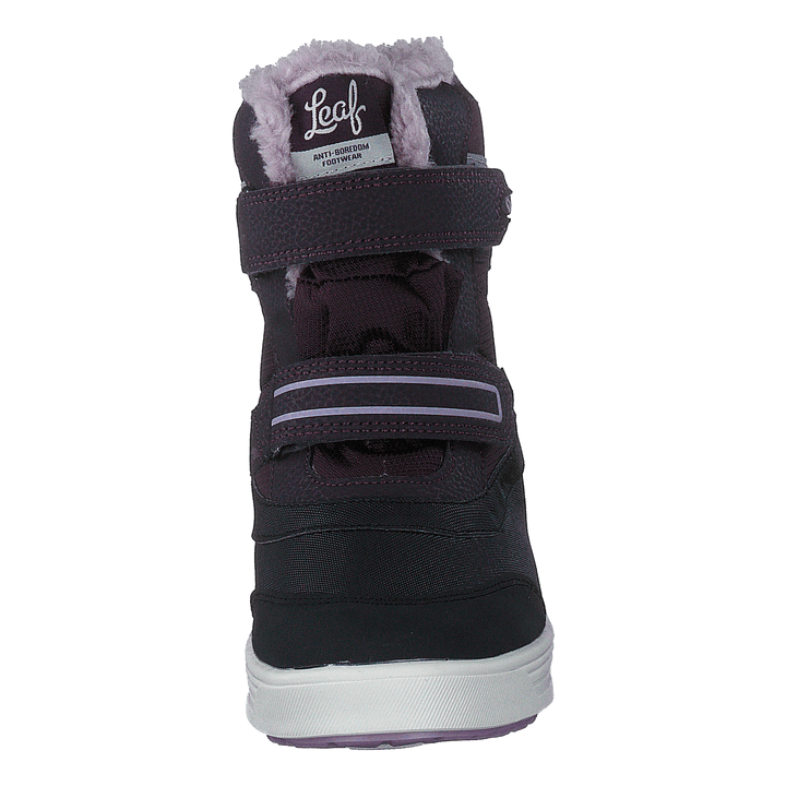 Lokka Lilac