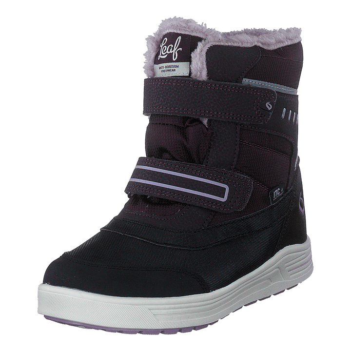 Lokka Lilac
