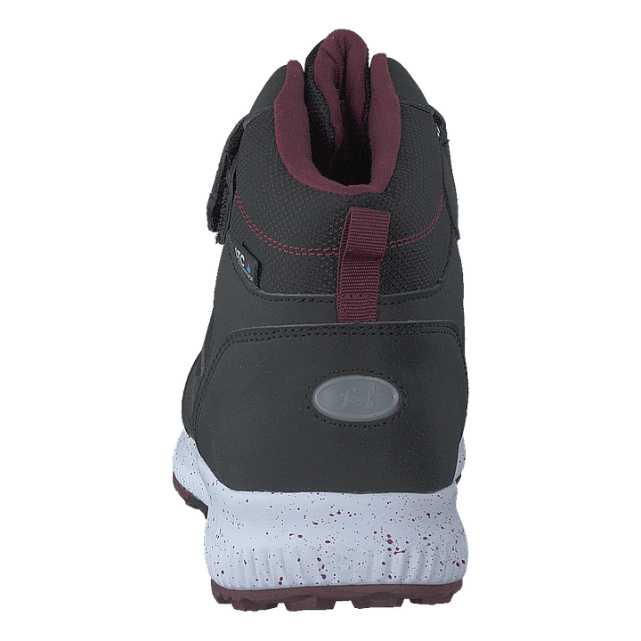 Lavia Blacklilac