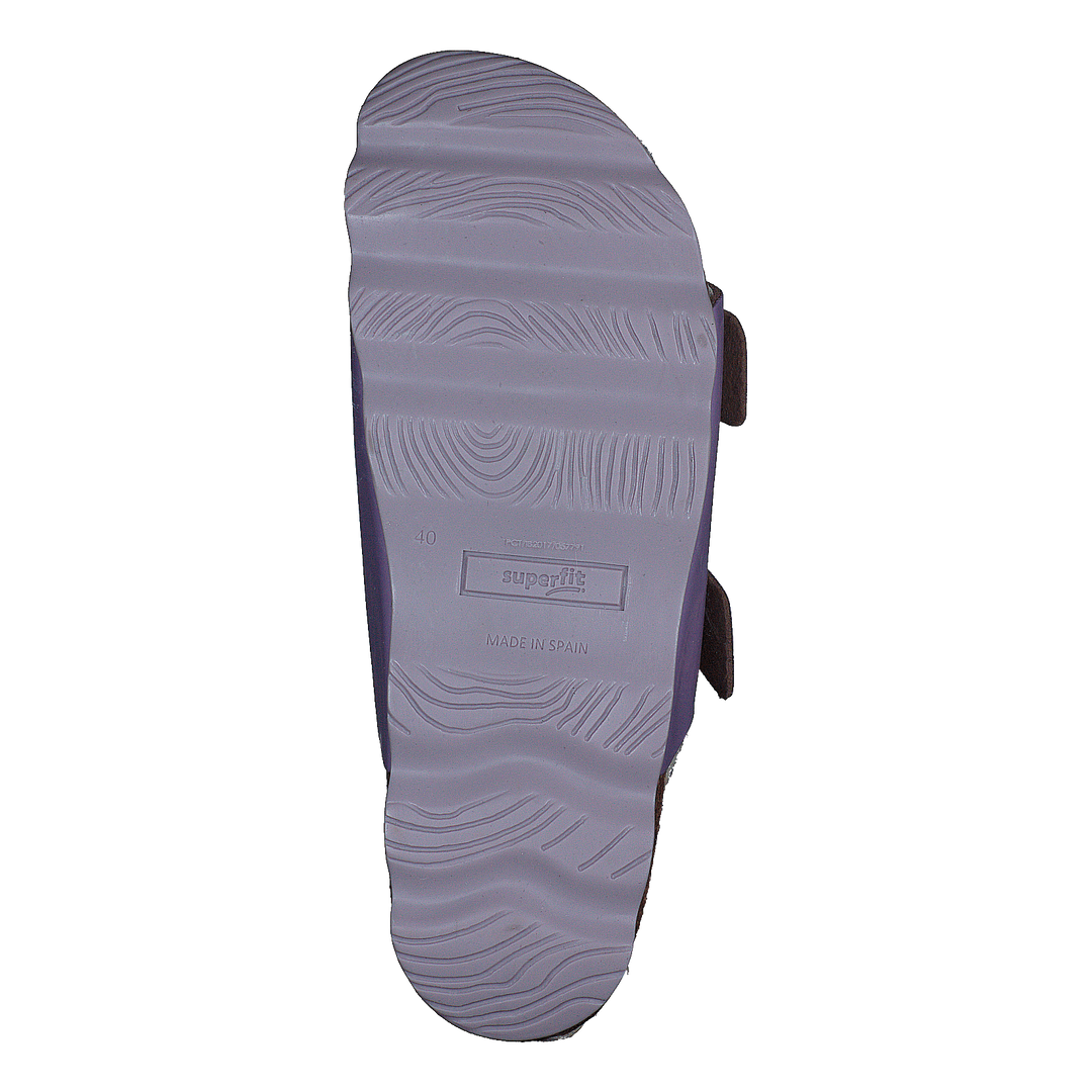 Jellies Purple