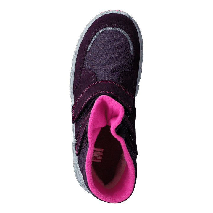 Icebird Purple/pink