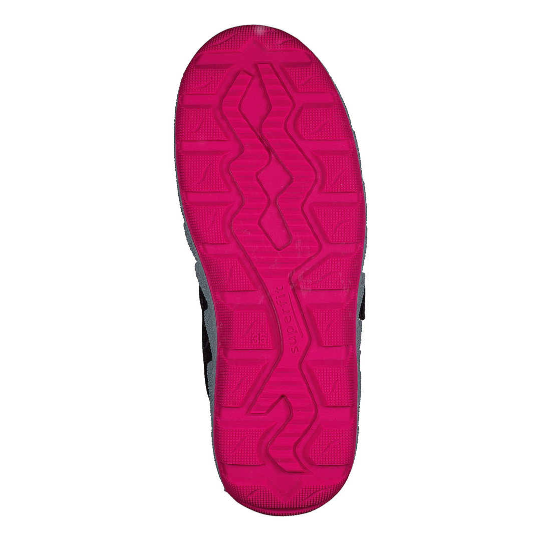 Icebird Purple/pink