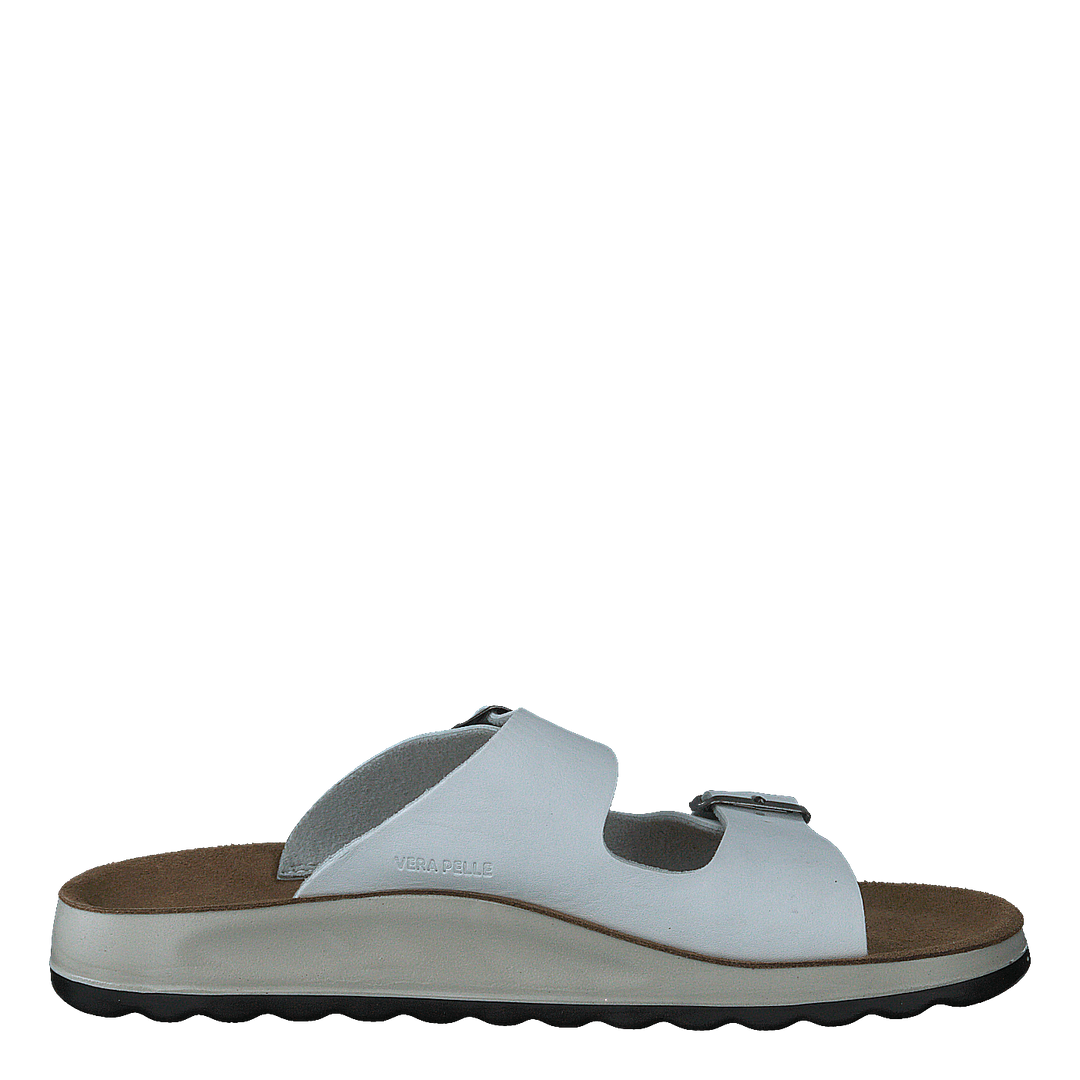 484-7764 White