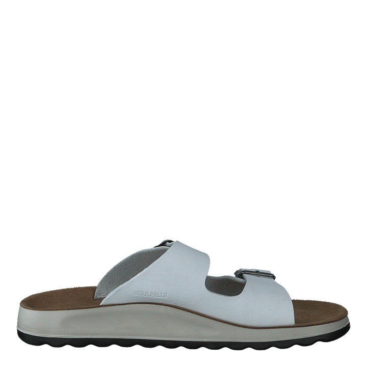 484-7764 White