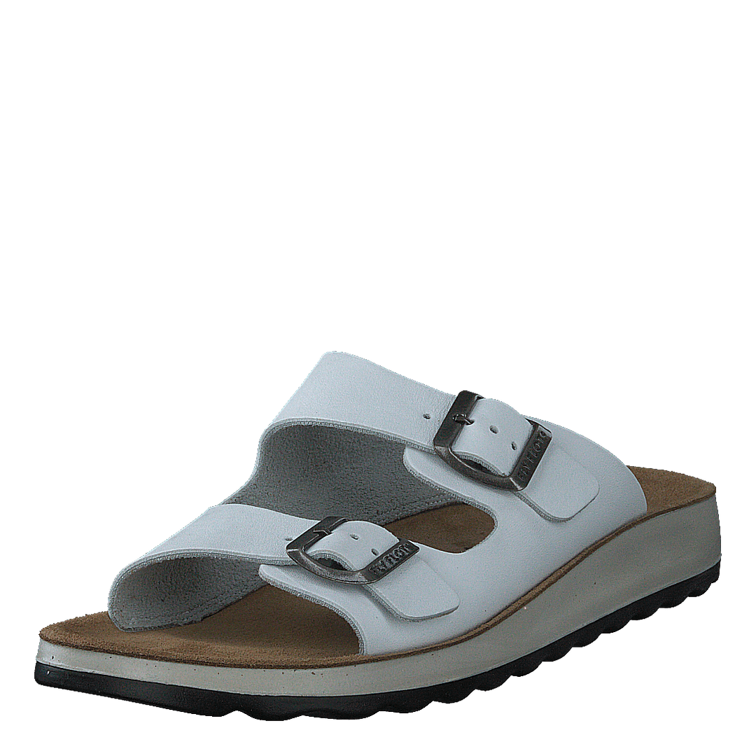 484-7764 White