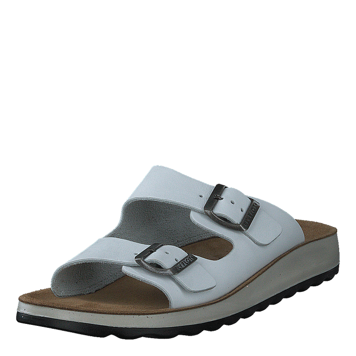 484-7764 White