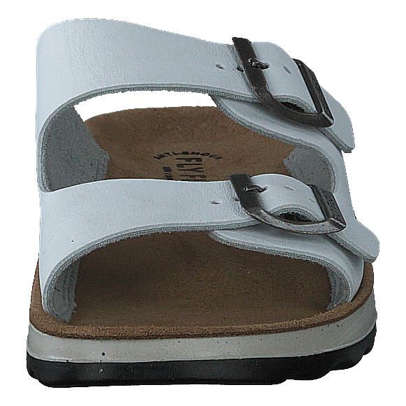 484-7764 White