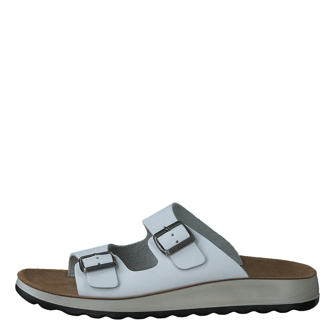 484-7764 White