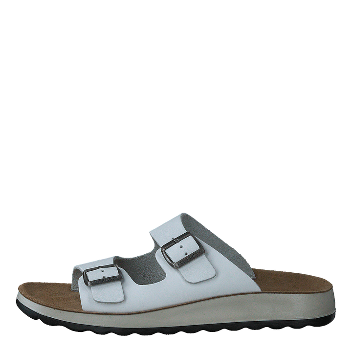 484-7764 White