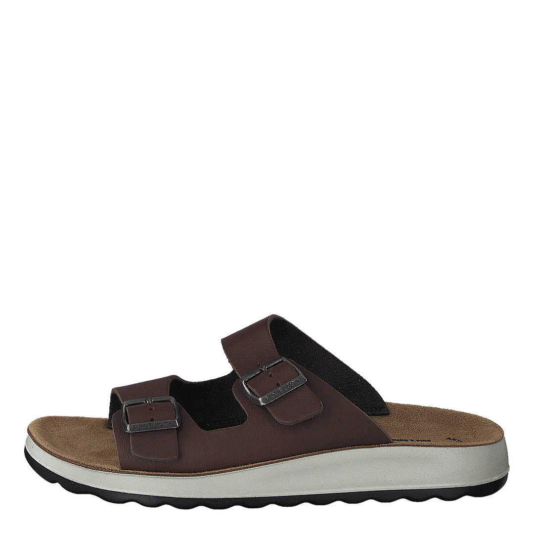 484-7764 Dark Brown