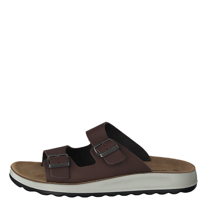 484-7764 Dark Brown