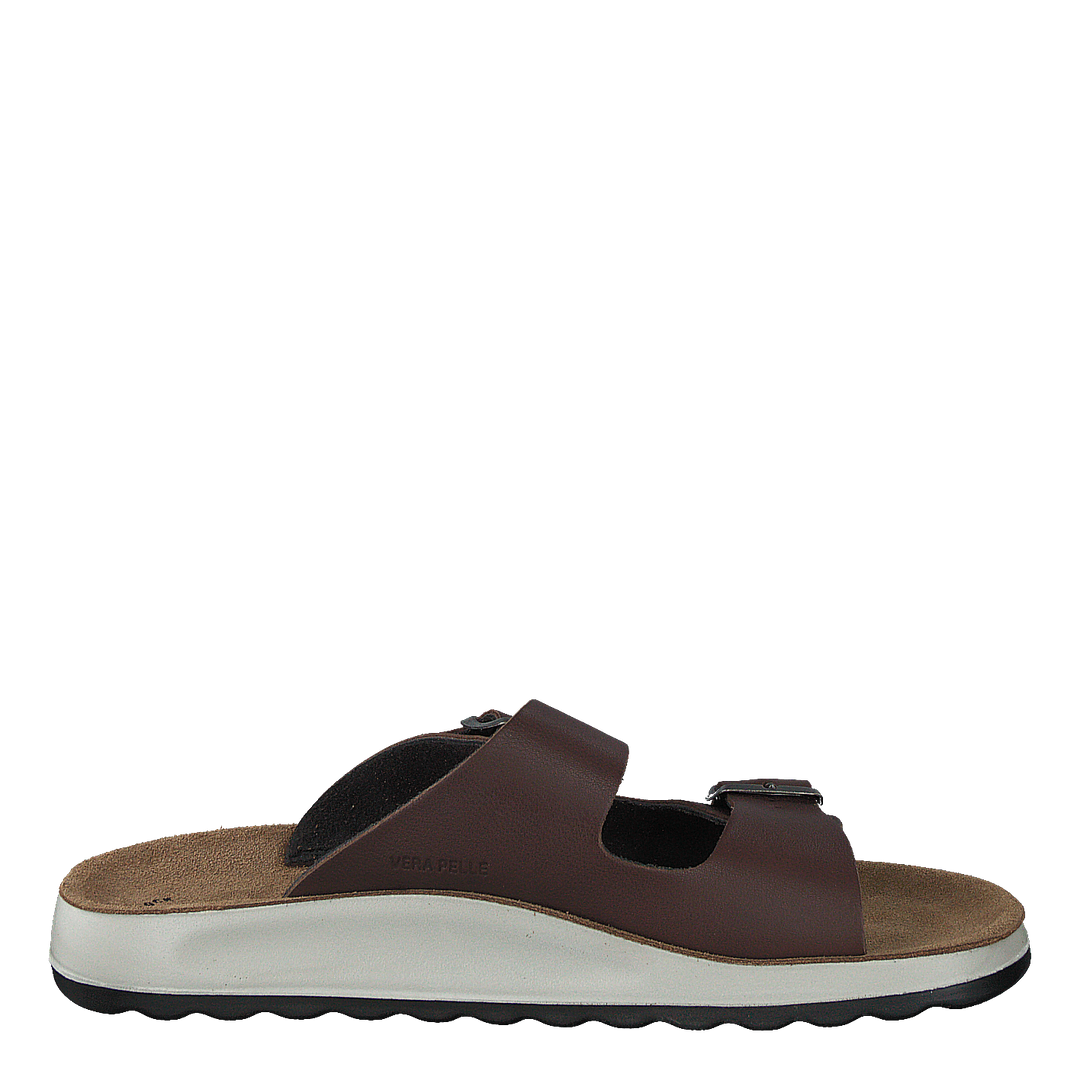 484-7764 Dark Brown