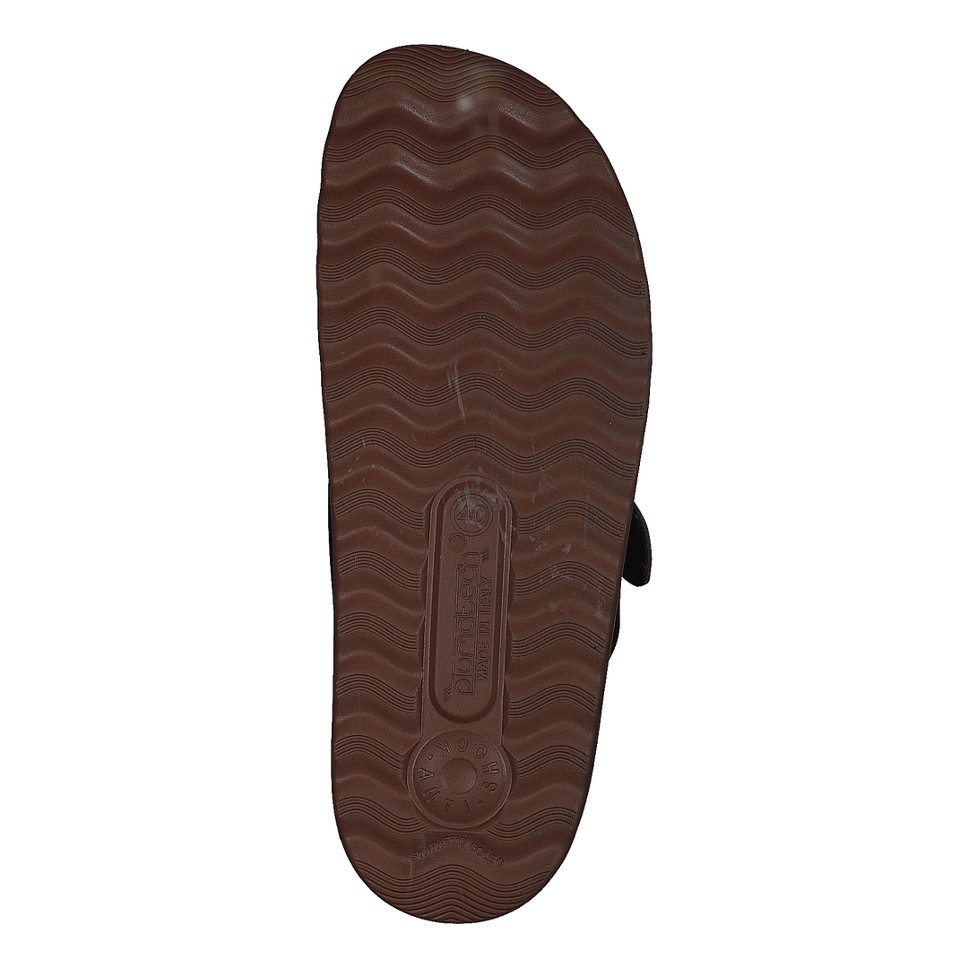 484-8171 Brown