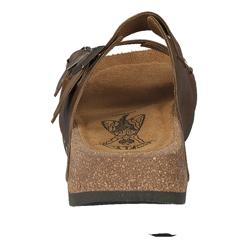 Caja721fly Camel