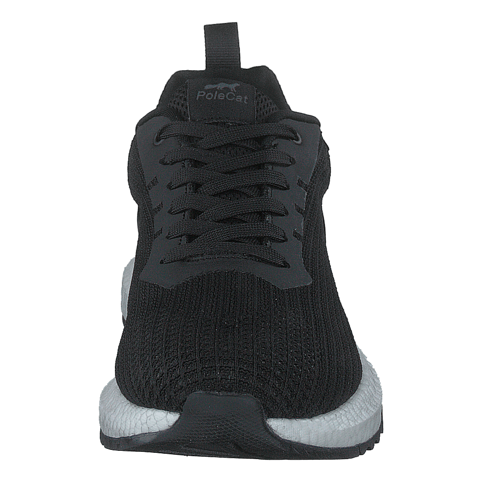 Beta Idaho Black