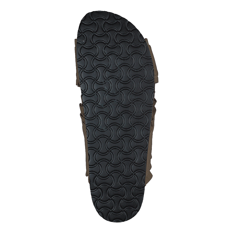 86-33005 Camel