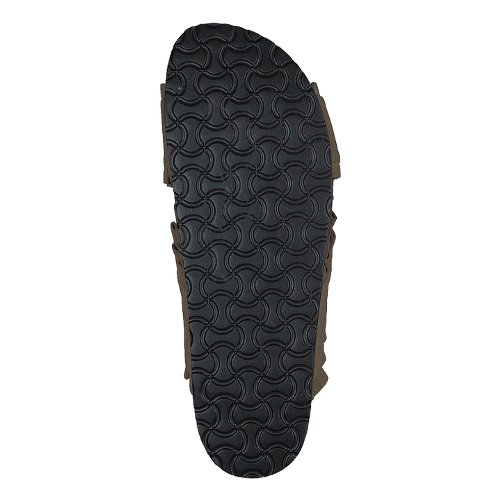 86-33005 Camel