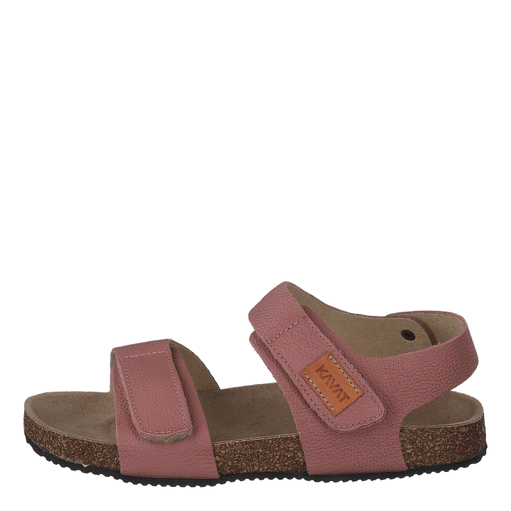 Bomhus Ep Ash Rose