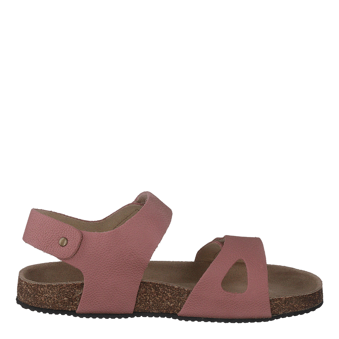 Bomhus Ep Ash Rose