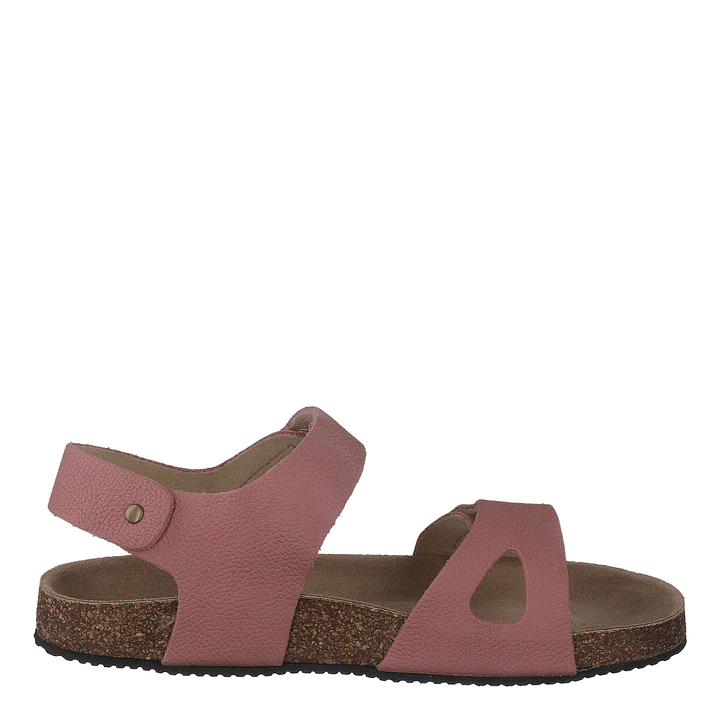 Bomhus Ep Ash Rose