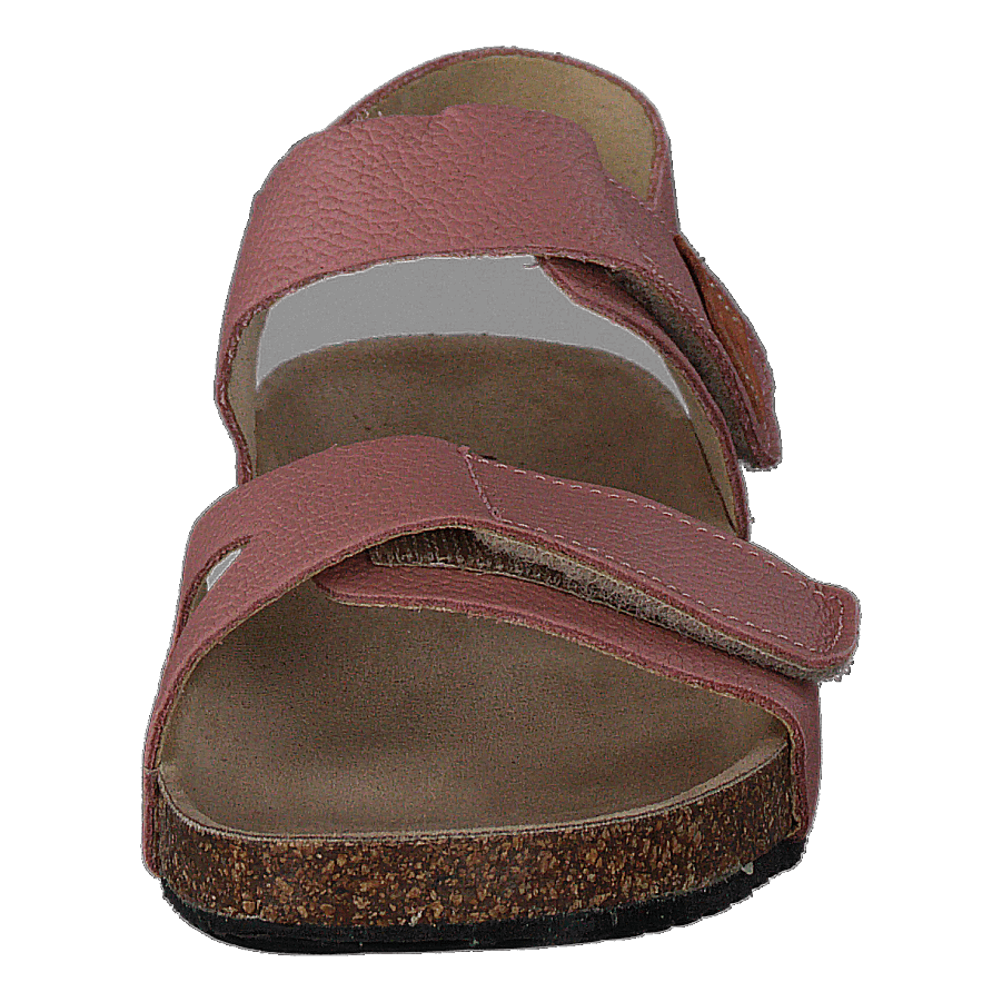 Bomhus Ep Ash Rose