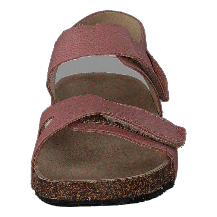 Bomhus Ep Ash Rose