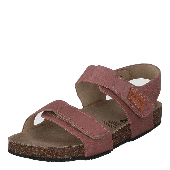Bomhus Ep Ash Rose