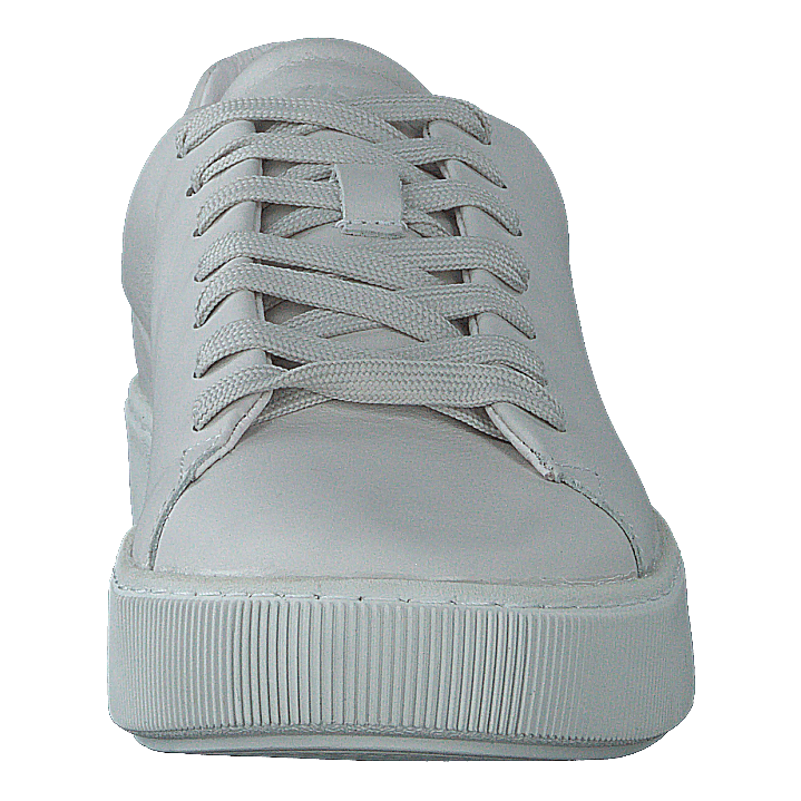 Rainbow Warrior White