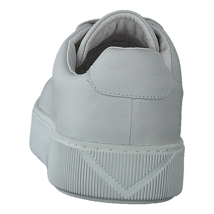 Rainbow Warrior White