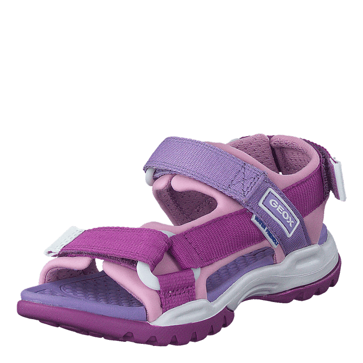 J Borealis G Purple/pink