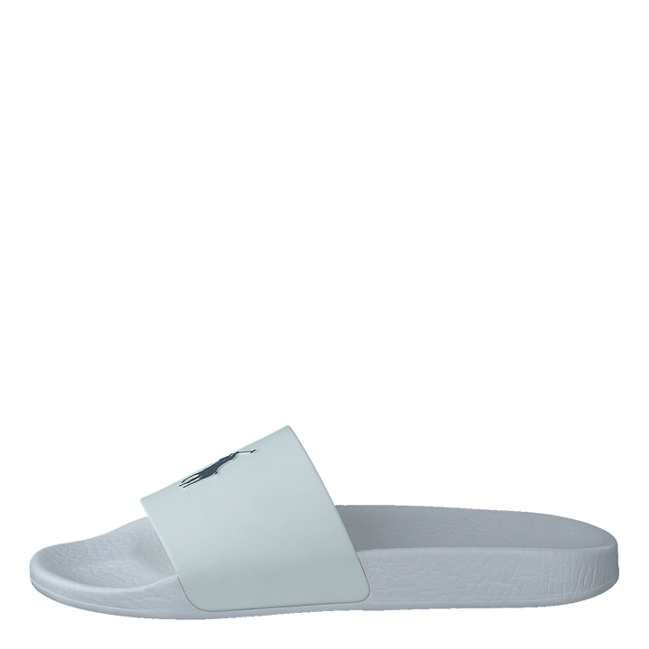 Signature Pony Slide White/Navy Pp