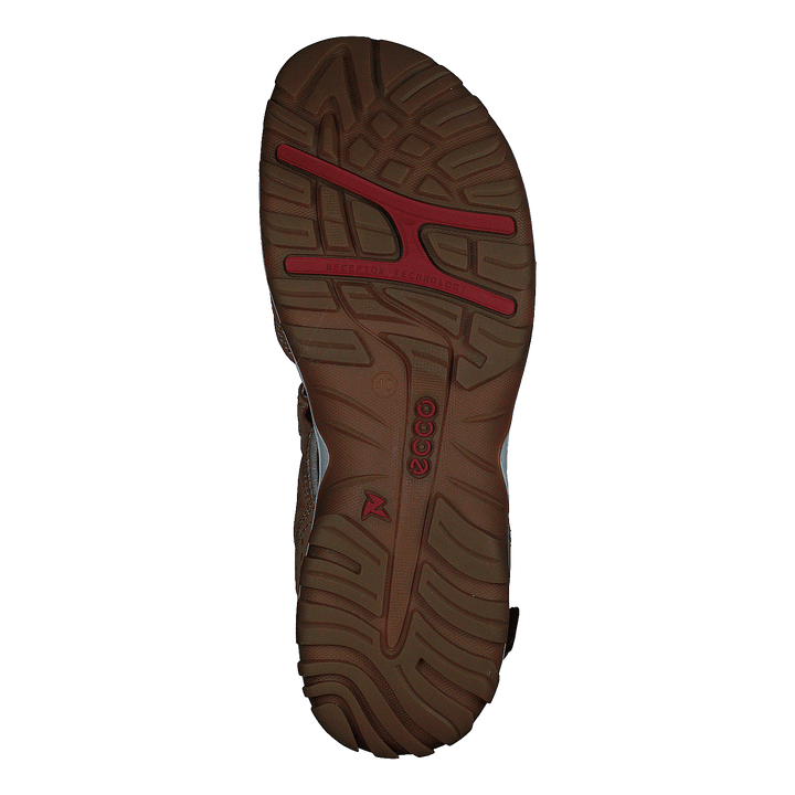 Ecco Offroad Lite W Cashmere - Heppo.com